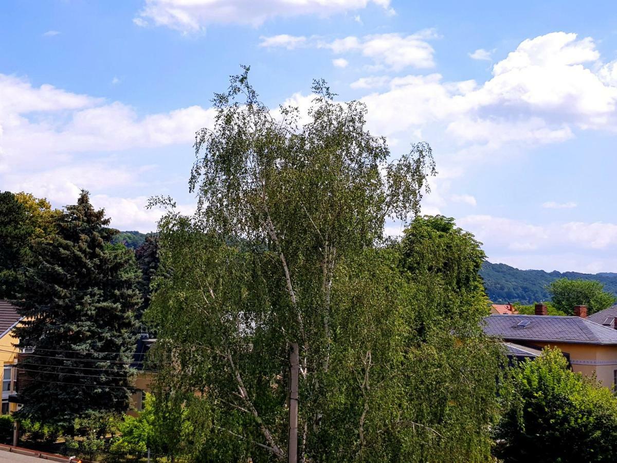 Ferienwohnung Elbhangblick - Fur 2 Personen Drezno Zewnętrze zdjęcie